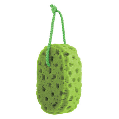 ספוג רחצה איכותי