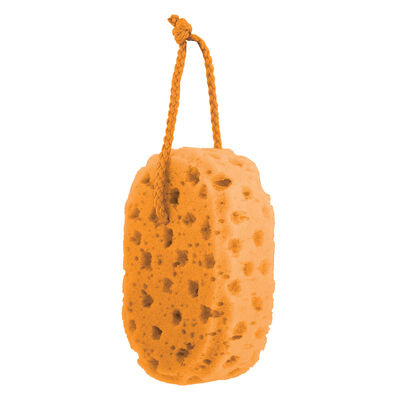 ספוג רחצה איכותי